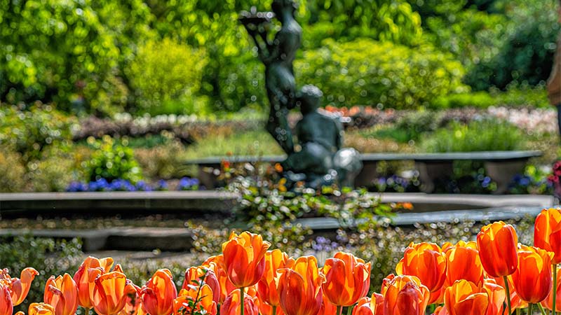 Corners of Central Park