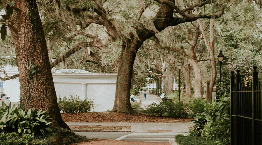 Most-Walkable-Part-of-Savannah Most Walkable Part of Savannah