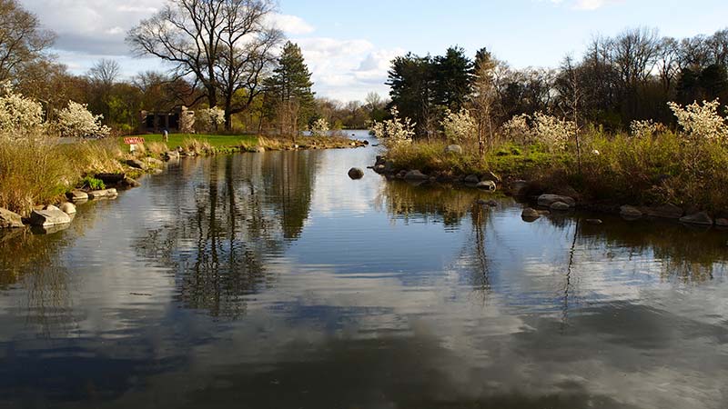 Relaxing Afternoon in Prospect Park