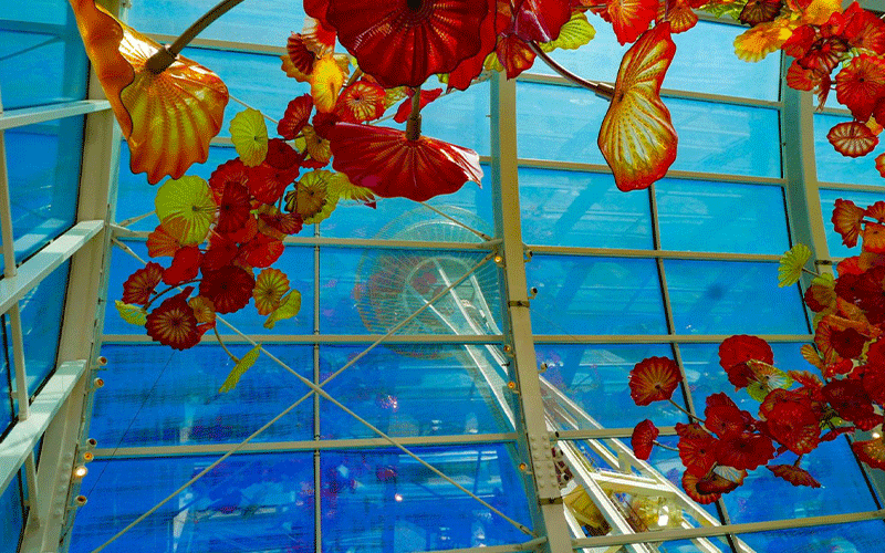Tour-Chihuly-Garden-and-Glass Tour Chihuly Garden and Glass