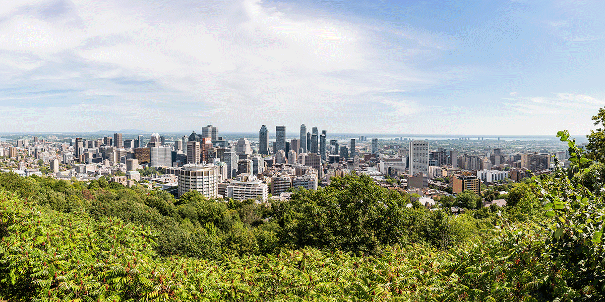 Mount-Royal-Lookout