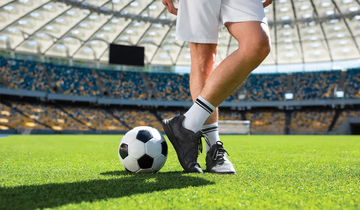 FIFA World Cup 2026 host cities