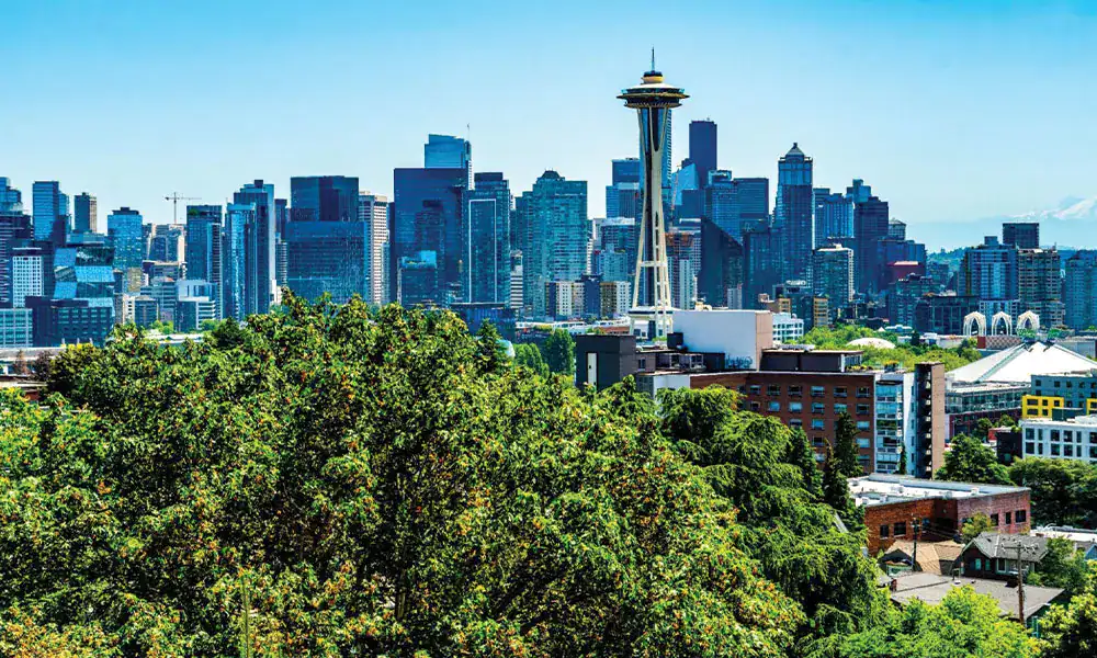 Queen-Anne Queen Anne